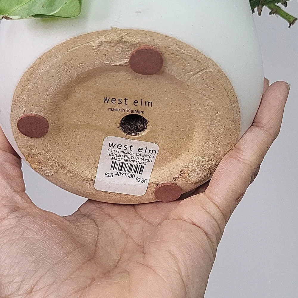 West Elm Radius Ceramic Indoor/Outdoor Tabletop Planters